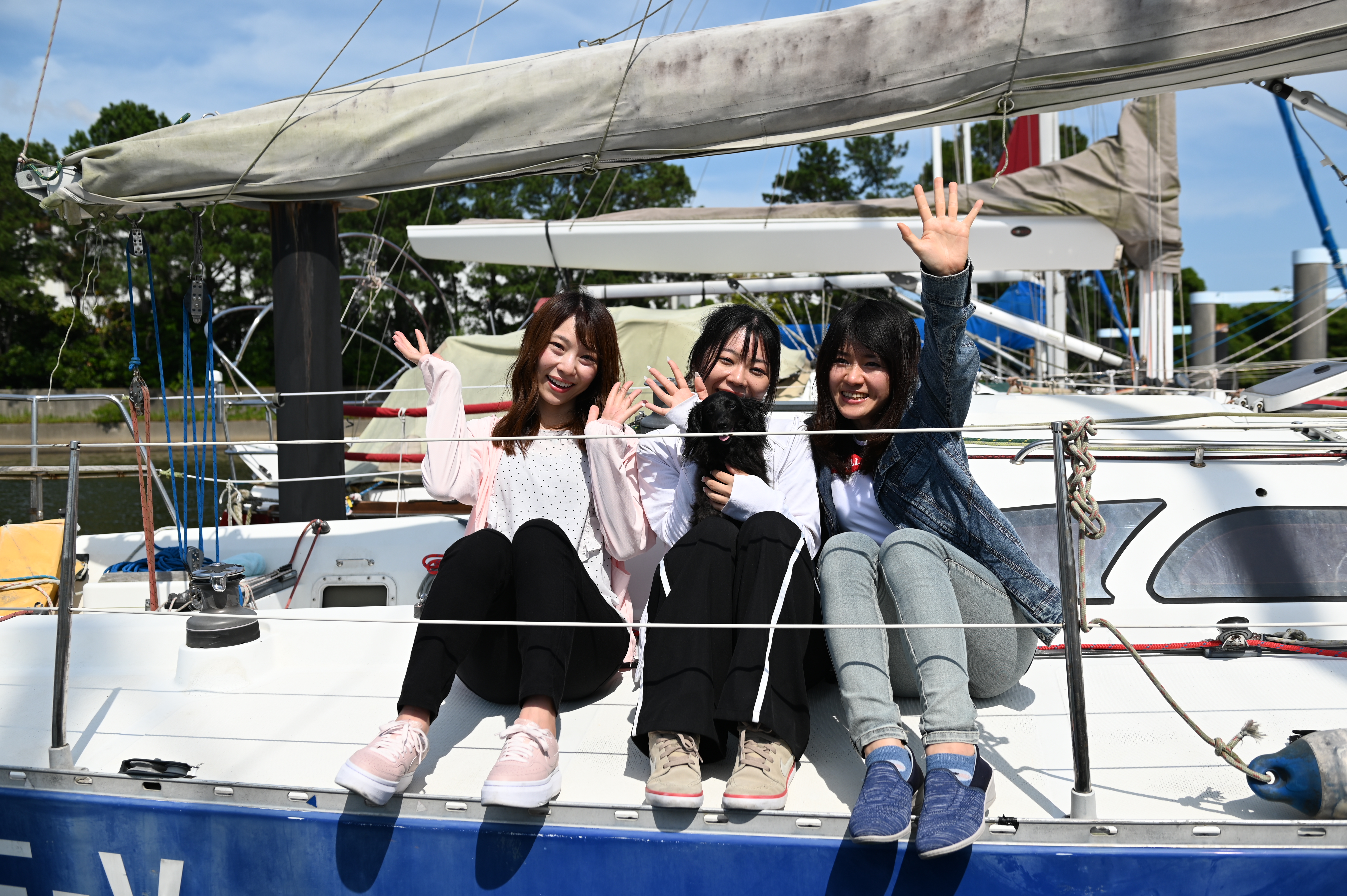 セーリングの様子